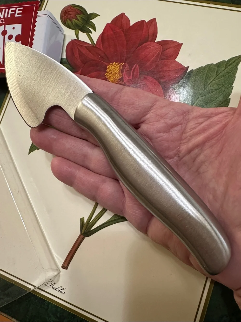 Stainless Steel Cheese knife - 7 1/4” - NIB